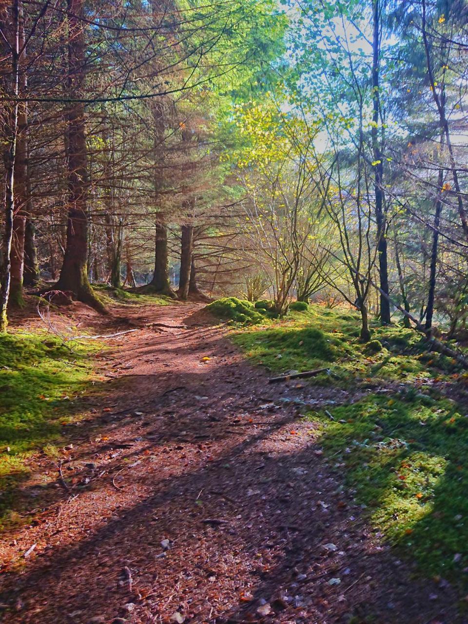 Loch Ness Highland Cottages With Partial Loch View Invermoriston Ngoại thất bức ảnh